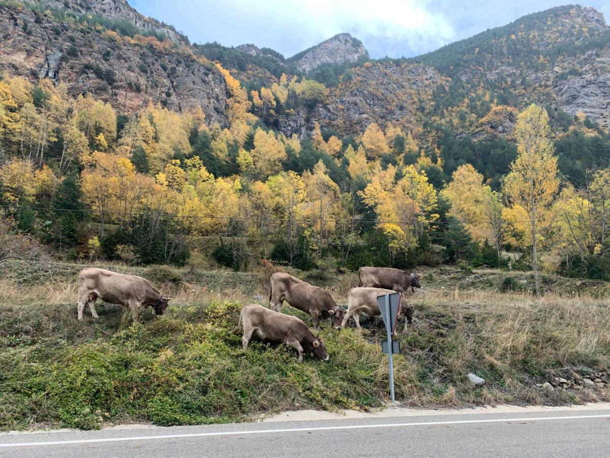 Chalet En El Pirineo De Aragon Neril Екстериор снимка